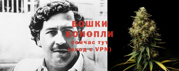 тгк Горнозаводск