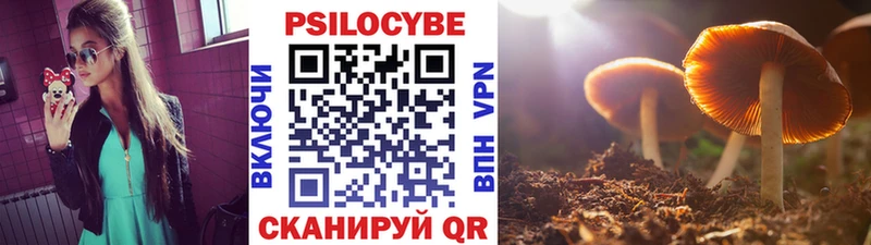 Псилоцибиновые грибы ЛСД  Ростов-на-Дону 